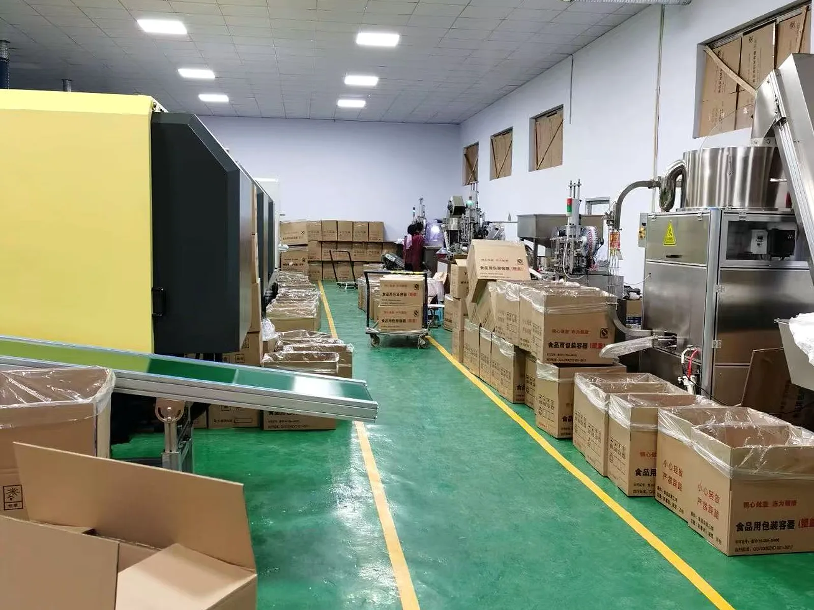 Output conveyor feeding the packing bay